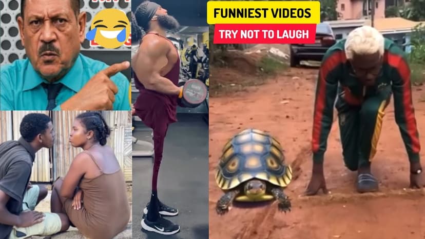 Really Funny Try Not to Laugh Videos 😂 | New Funny Videos Compilation (Part 37)