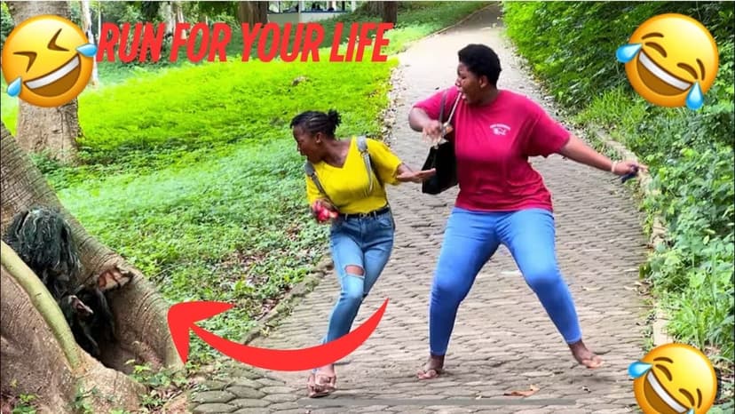 Try not to laugh 😂😂😂 challenge level 37 extreme funniest vedios #funny #laugh #comedy #funnyvedio